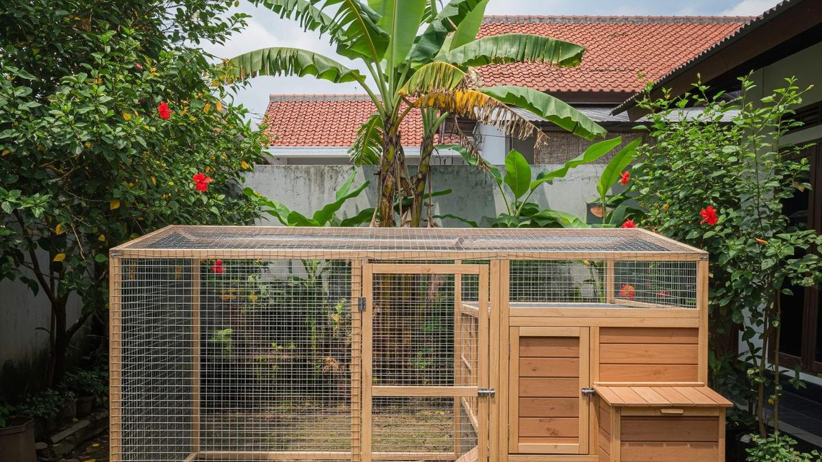 9 Jenis Rangka Kandang Ayam Anti Lapuk di Segala Cuaca, Solusi Tahan Lama