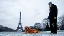 Seorang wanita berjalan-jalan dengan anjing peliharaannya yang berjenis Golden Retriever di Champ de Mars yang diselimuti salju, dekat dengan Menara Eiffel di Paris pada tanggal 9 Januari 2024. (Ludovic MARIN/AFP)