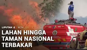 Kebakaran Hutan dan Lahan, Kalimantan dan Sumatra Masih Membara
