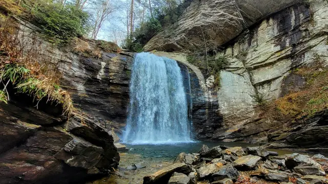 Pisgah National Forest