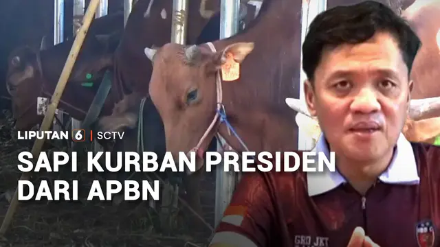 APBN Rp100 Miliar Danai Hewan Kurban Presiden, Menag dan DPR Beri Penjelasan