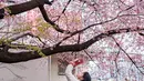 Seorang perempuan mengambil gambar bunga sakura di Taman Ueno di Tokyo, Jepang, Senin (21/3/2022). Pada hari Minggu siang, setidaknya lima bunga telah mekar pada pohon yang menjadi patokan untuk varietas Somei-yoshino di Kuil Yasukuni di pusat Tokyo. (Philip FONG / AFP)