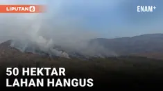 Tak Kunjung Padam, Ini Kondisi Gunung Bromo Terbaru