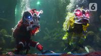 Sejumlah penampil menunjukkan atraksi barongsai di dalam akuarium Sea World Ancol, Jakarta, Rabu (18/1/2023). Pertunjukan barongsai bawah air tersebut merupakan rangkaian Ancol Lunar Fest 2023 dalam rangka menyambut Tahun Baru Imlek 2574 Kongzili. (Liputan6.com/Herman Zakharia)
