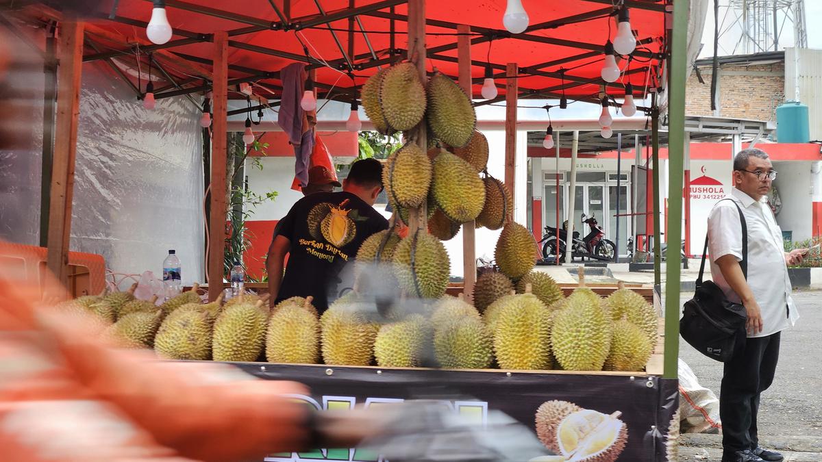 Bolehkah Penderita Asam Urat Makan Durian? Dengarin Kata Pakar Kalau Nggak Mau Kumat!