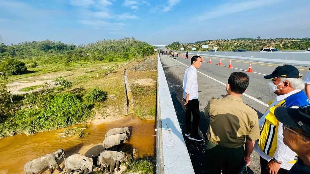 Presiden Jokowi melihat perlintasan gajah di KM 12 ruas Tol Pekanbaru-Dumai