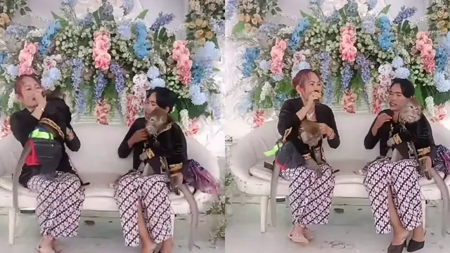 Pernikahan Monyet Mewah