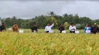 Kunjungan kerja Menteri Pertanian Amran Sulaiman di Sukabumi (Foto: Kementan)