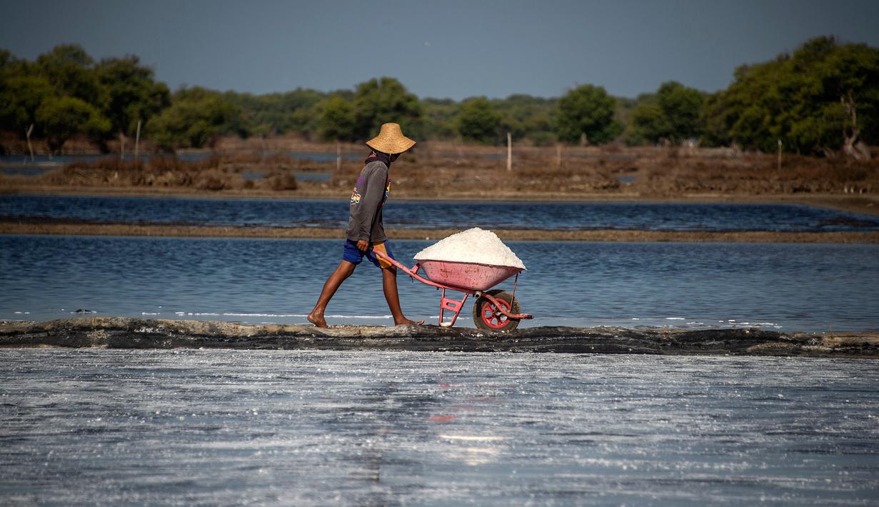 Petani mengangkut hasil panen garam di Sidoarjo, Jawa Timur, 16 September 2019. Menurut petani, meningkatnya produksi garam saat musim kemarau dari lima ton menjadi delapan ton per minggu, mengakibatkan harga garam di tingkat petani tradisional untuk kualitas nomor satu menurun. (Juni Kriswanto/AFP)