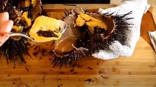 Bulu Babi