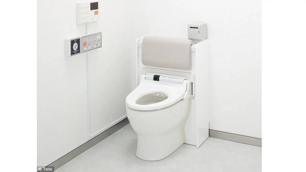 Toilet pintar