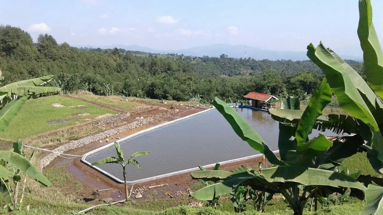 Para petani di Toli-Toli, Sulawesi Tengah, merasakan manfaatkan dari hadirnya embung. (Dok Kementan)