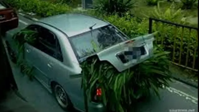 6 Momen Mobil Bawa Benda-Benda Tak Biasa, Bikin Melongo