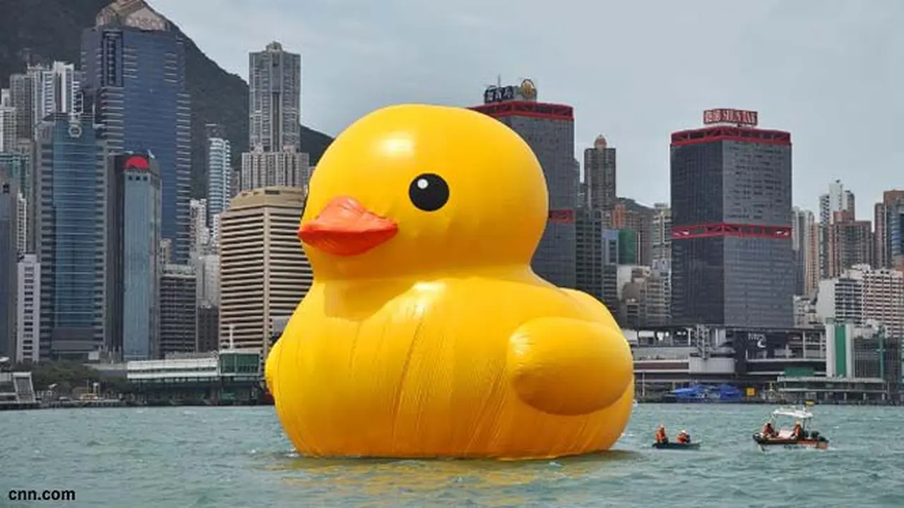 Bebek jumbo berenang di pelabuhan di Hong Kong. (YouTube)