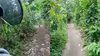 Sudah Tersesat Gara-Gara Google Maps, Pemotor Ini Juga Dikejar Anjing (TikTok/@yatin200102)