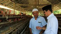 Cagub Sulsel, Ichsan Yasin Limpo Kunjungi Peternak Ayam Petelur di Kabupaten Sidrap, Sulsel (Liputan6.com/ Eka Hakim)