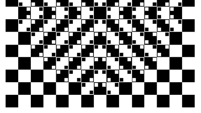 6 Ilusi Optik Bentuk Papan Catur Hitam Putih Ini Bikin Pusing