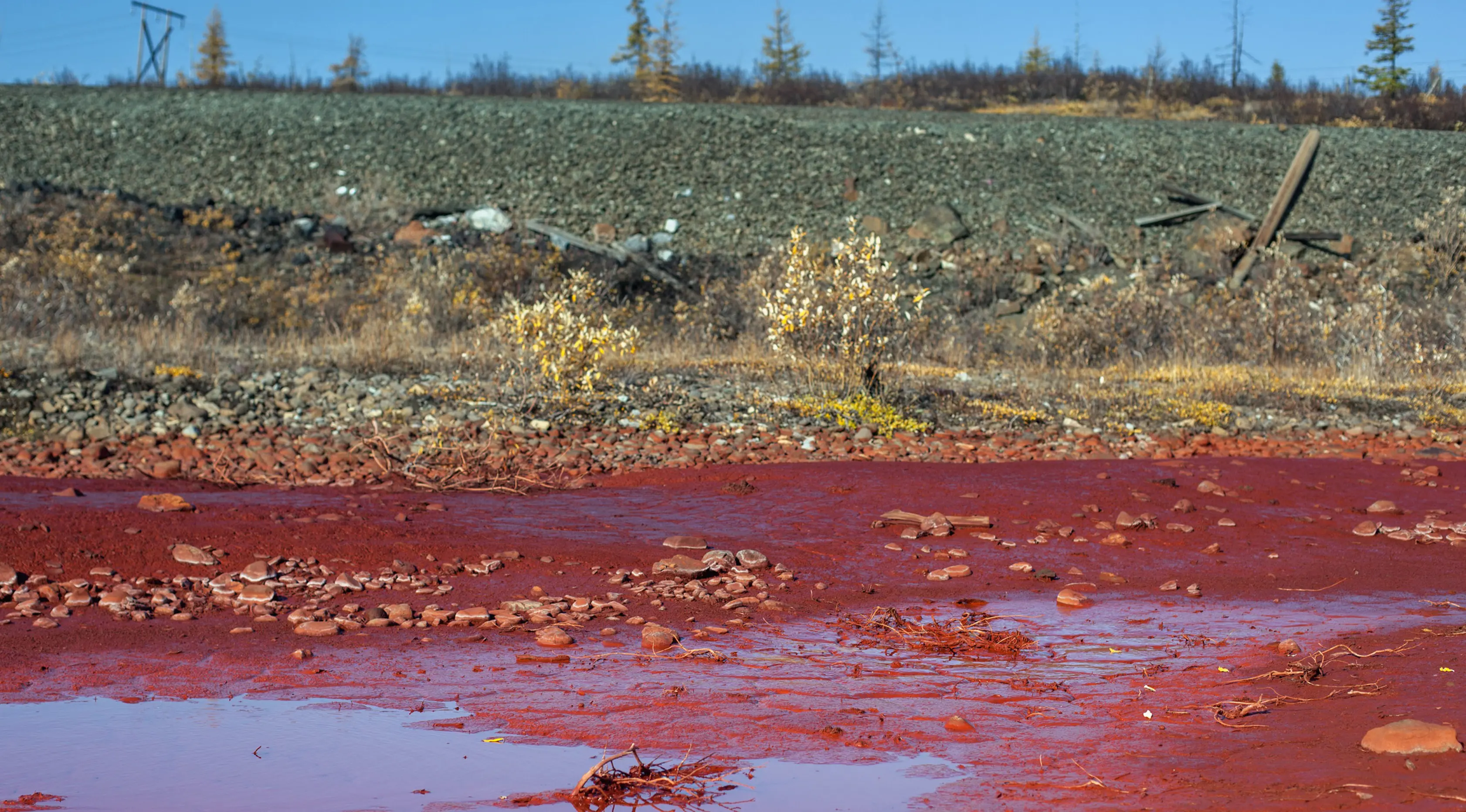 Genangan air di sekitar tepi sungai Daldykan berwarna merah darah akibat tercemar di Krasnoyarsk, Rusia, 8 September 2016. Sungai itu berubah menjadi merah karena tumpahan nikel yang hanyut dari pabrik nikel terbesar di dunia, Norilsk Nickel (AFP PHOTO)