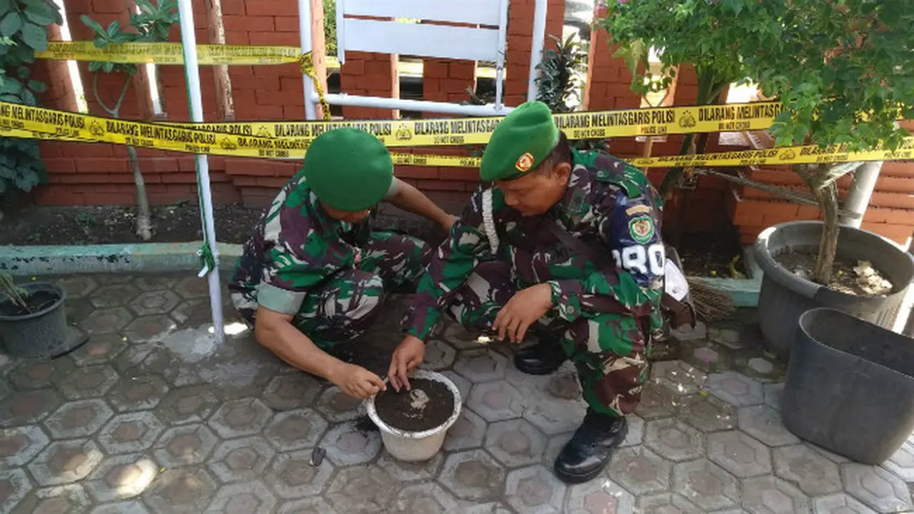 Ranjau Laut