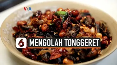 mengolah tonggeret