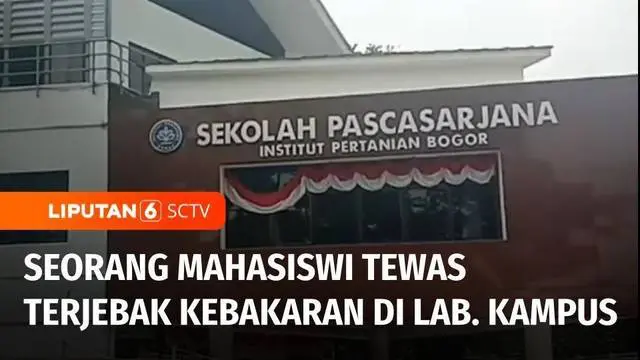 VIDEO: Mahasiswi Pascasarjana IPB University Tewas dalam Kebakaran di Ruang Lab. Kampus
