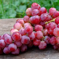 Hati-hati Ketika Mengonsumsi Anggur. Buah Satu Ini Tinggi Indeks Glikemiksnya (iStockphoto)