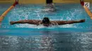 Glenn Victor Sutanto tampil di nomor 100 meter gaya kupu-kupu SEA Games 2017 di National Aquatic Centre, Malaysia, (23/8). Glenn berhasil membawa medali perunggu  dalam kategori 100 gaya kupu-kupu. (Liputan6.com/Faizal Fanani)