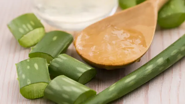 Bukan Cuma Untuk Rambut, Lidah Buaya juga Baik untuk Rongga Mulut