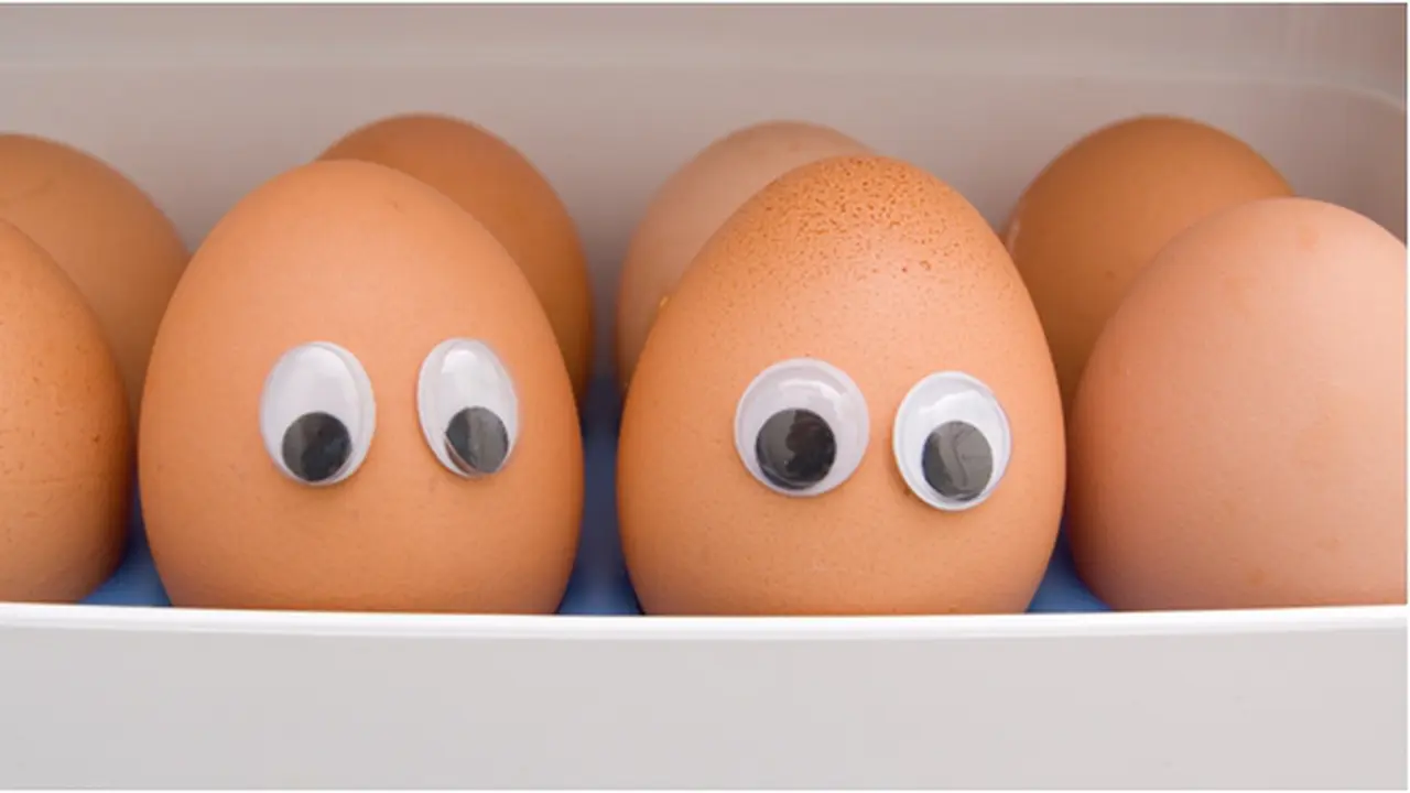 Courtesy ShutterStock.com