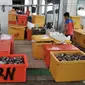 Pedagang menyortir ikan di Pasar Ikan Modern (PIM) Muara Baru, Jakarta, Kamis (21/2). Pedagang mulai menempati PIM Muara Baru sejak 16 Februari 2019. (Merdeka.com/Iqbal Nugroho)