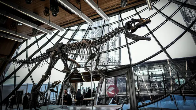 Kerangka Dinosaurus Langka Terjual