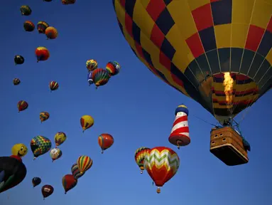 Ratusan balon udara menghiasi langit Readington, New Jersey, Amerika Serikat, (25/7/2014). (REUTERS/Eduardo Munoz)