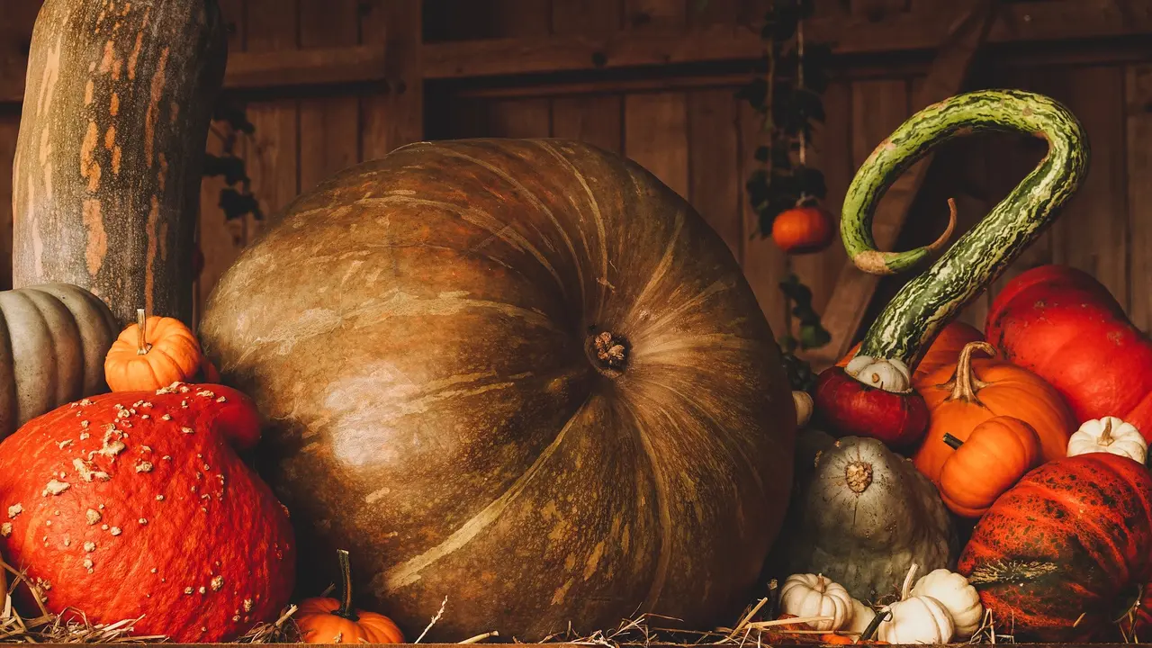 Labu Halloween