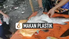 MAKAN PLASTIK