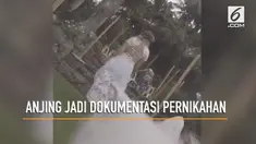 Sam dan Reece melangsungkan pernikahan dengan menggunakan anjing kesayangannya, George, sebagai juru dokumentasi pernikahan.