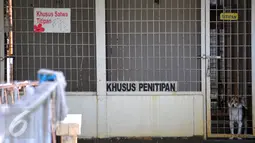 Tempat penitipan hewan Pondok Pengayom Satwa Jakarta (PPJS) di kawasan Pasar Minggu, Jakarta menjadi salah satu tempat yang dituju para pemudik untuk menitipkan hewan peliharaannya, Sabtu (18/7/2015). (Liputan6.com/Yoppy Renato)