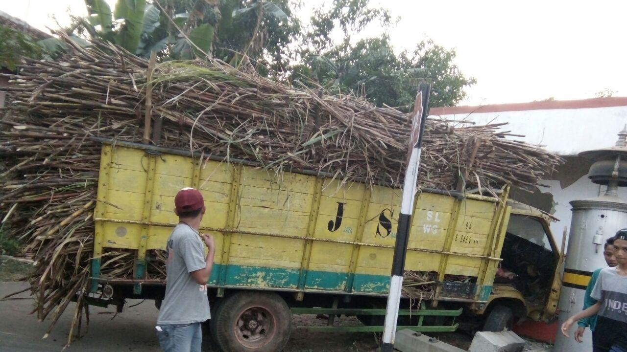 Cerita Pertaruhan Hidup Mati Sopir Truk Pengangkut Tebu
