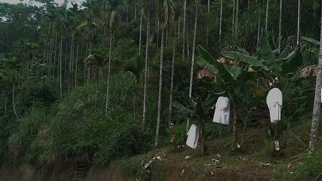 6 Potret Cara Nyeleneh Amankan Buah di Pohon Ini Bikin Ngakak