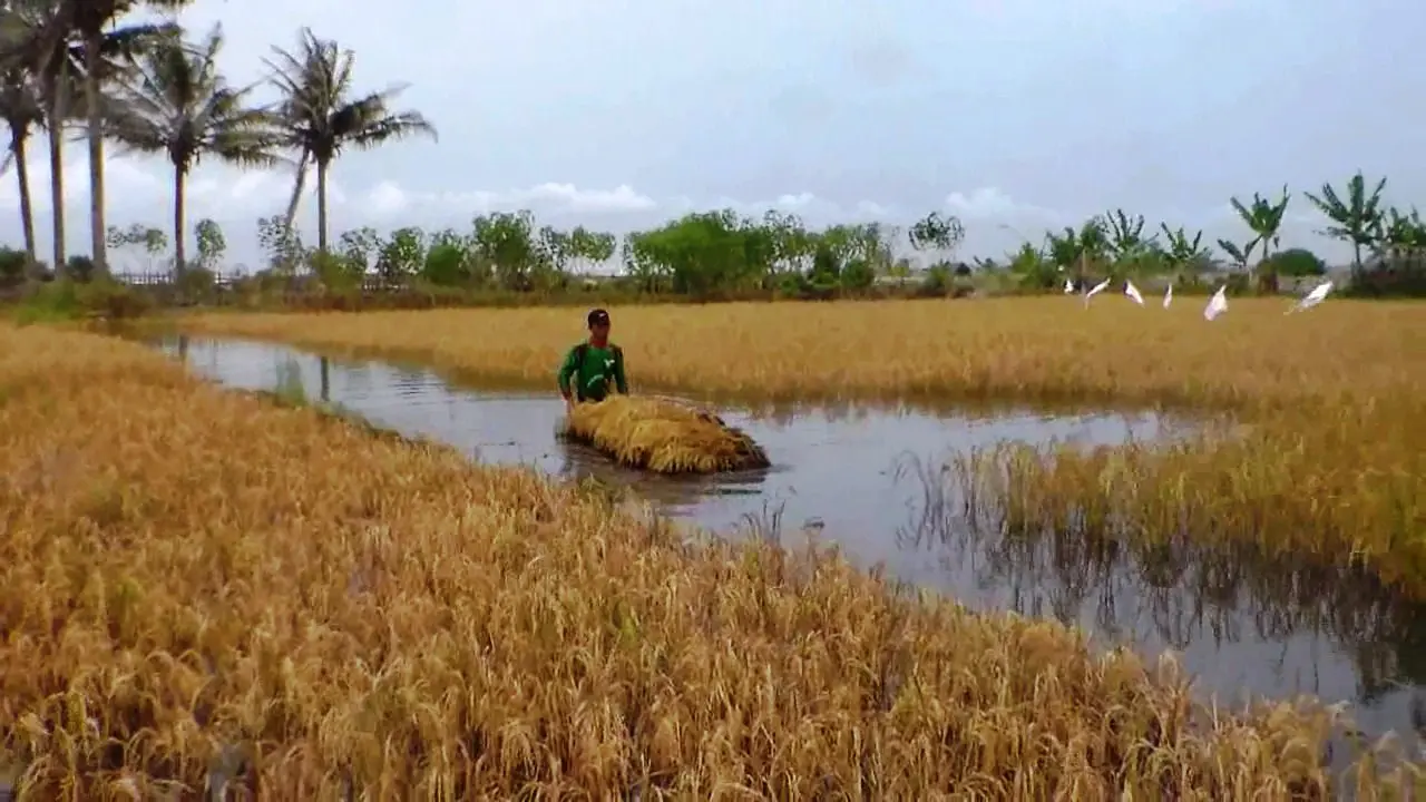Banjir, Cianjur