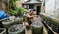 Kenapa Ternak Lele di Galon Bekas Cepat Mati? Ini Penyebab yang Sering Tidak Disadari