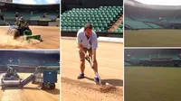Inilah Proses Renovasi Lapangan Wimbledon