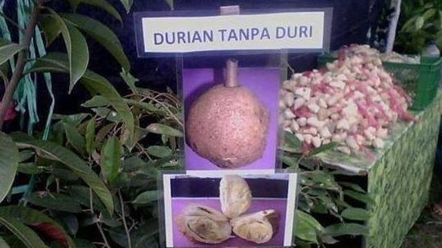 6 Cara Unik Orang Jualan Buah Ini Anti-mainstream, Nyeleneh Banget