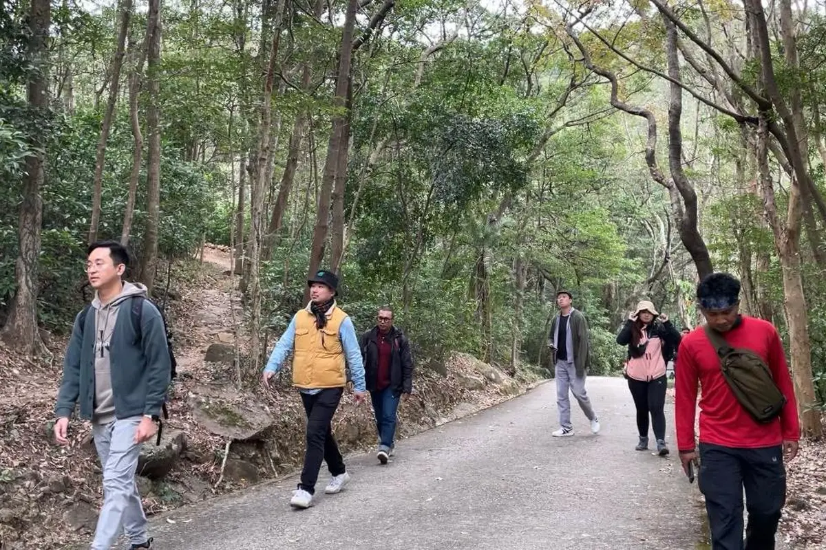 Menemukan Kedamaian dalam Forest Bathing di Tai Mo Shan Country Park, Hong Kong
