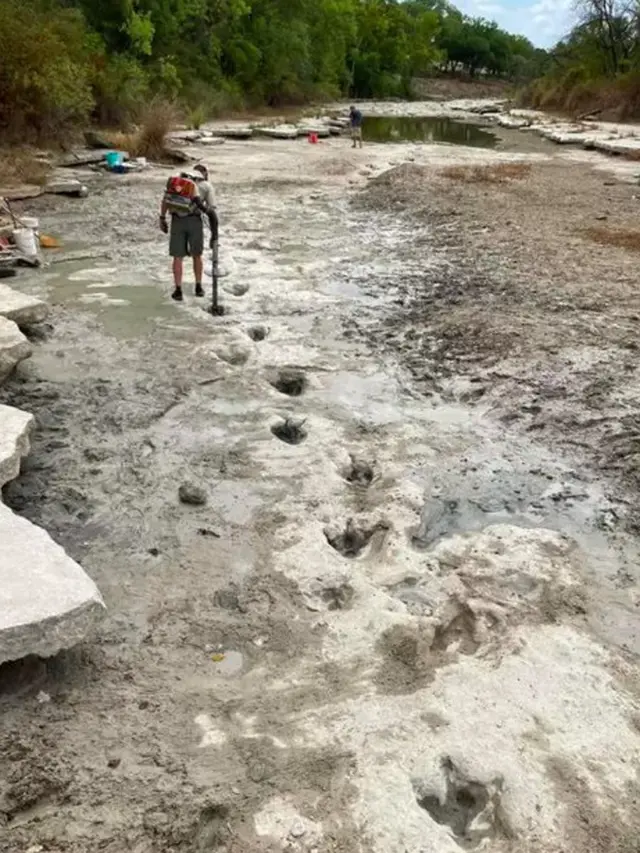 Viral Jejak Dinosaurus Dari 113 Juta Tahun 'Muncul Kembali' di Sungai yang Mengering