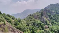 Gunung Api Purba Nglanggeran Sudah Dibuka Kembali Usai Serangan Lebah