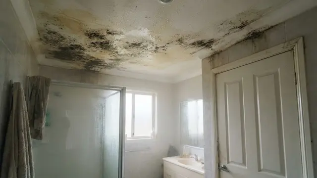 Jamur di Kamar Mandi