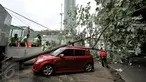 Petugas menyaksikan pohon tumbang yang menimpa dua mobil yang tengah terparkir di sebelah Pos Polisi Bundaran HI, Jakarta, Selasa (15/12). Tak ada korban jiwa akibat tumbangnya pohon yang disebabkan angin kencang tersebut. (Liputan6.com/Faizal Fanani)