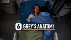 THUMBNAIL GREY'S ANATOMY
