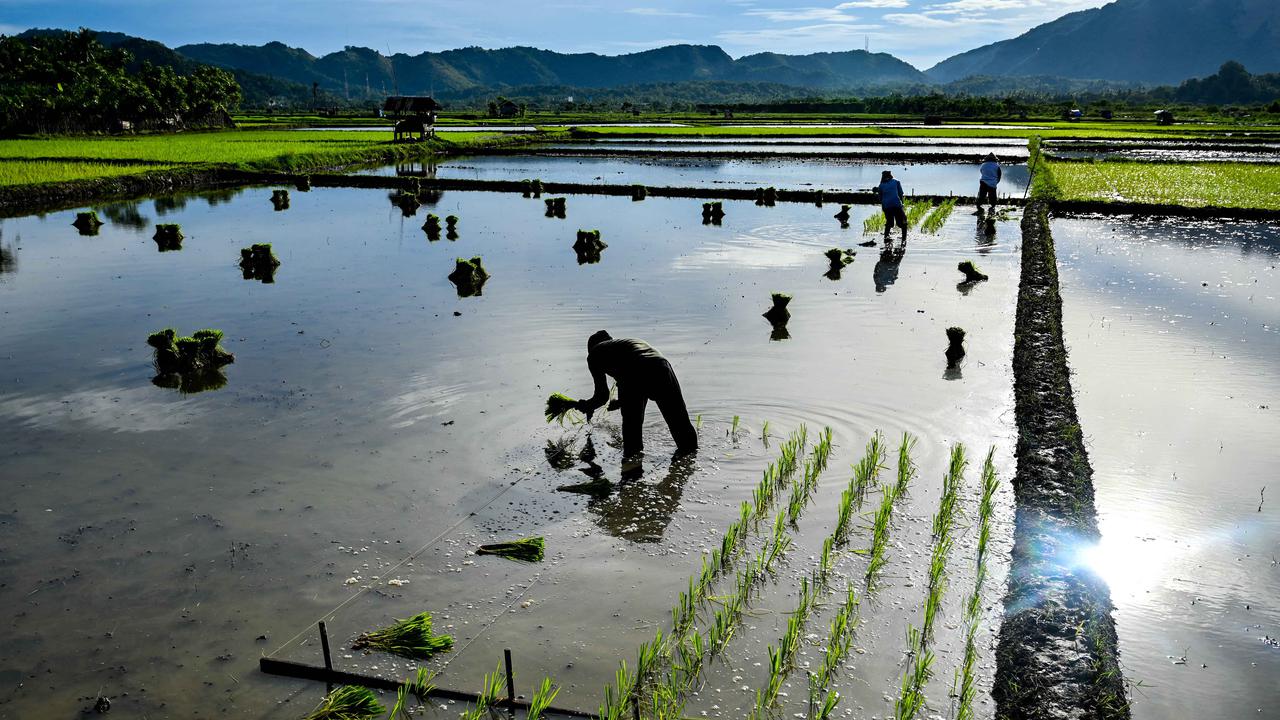 Indonesia Bidik Jadi Negara Superpower di Sektor Ini