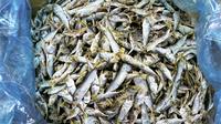 Ilustrasi resep ikan asin (Photo by photosforyou on Pixabay)